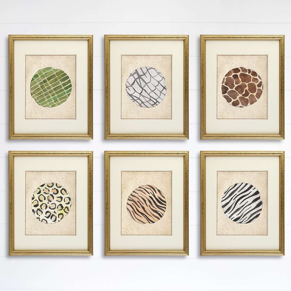 Animal Skins Art Prints (Set of 6) - 8x10s - Dream Big Printables