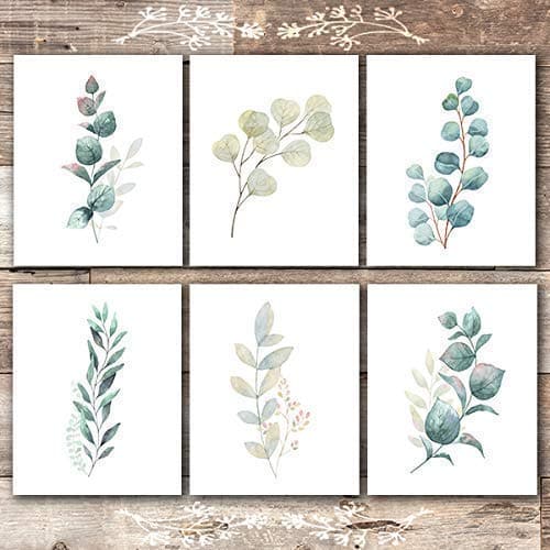 Botanical Prints Wall Art - Eucalyptus Leaves - (Set of 6) - 8x10s - Dream Big Printables