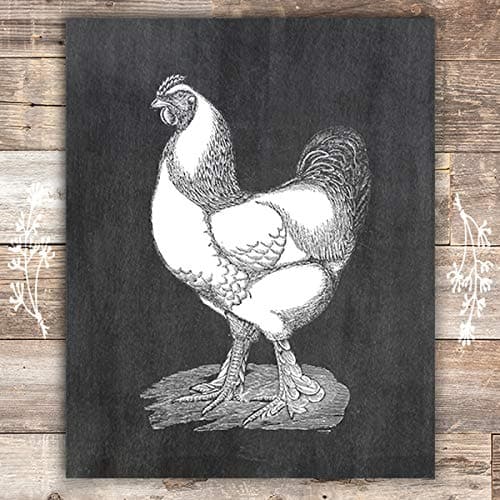 Brahma Rooster Art Print - Unframed - 8x10s - Dream Big Printables