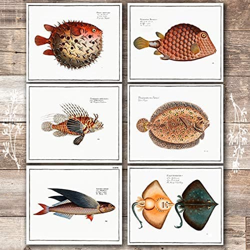 Exotic Vintage Fish Wall Art Prints (Set of 6) - 8x10s - Dream Big Printables