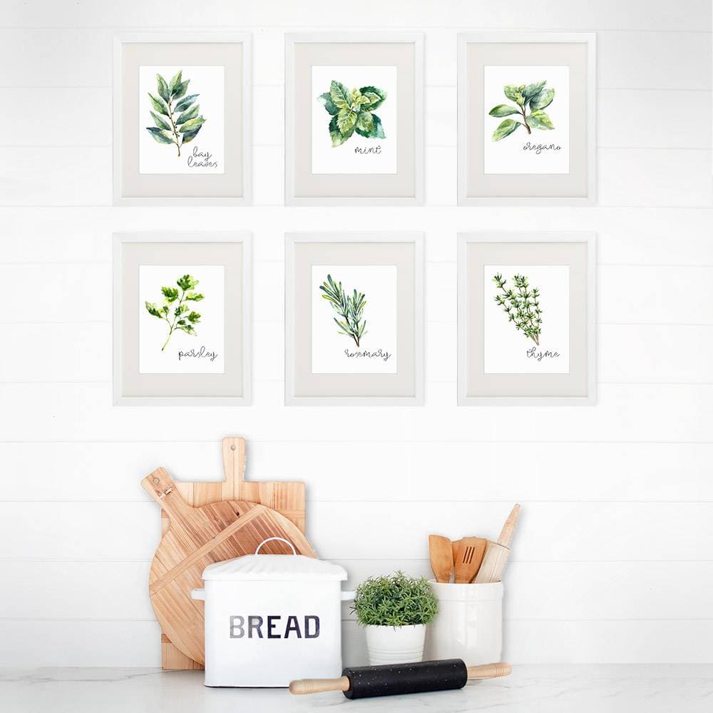 Kitchen Herbs Art Prints (Set of 6) - 8x10 - Dream Big Printables
