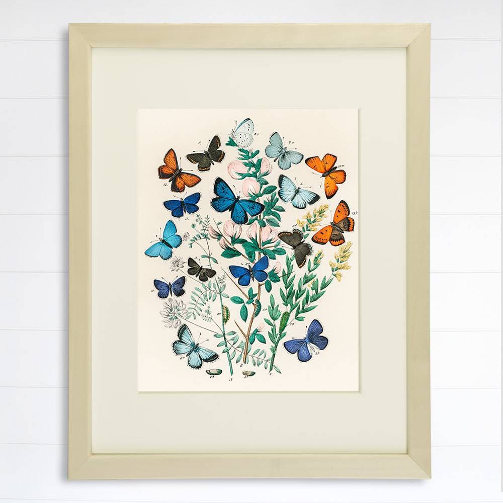 Vintage Butterfly Wall Art Print - 8x10 | Botanical Wall Decor - Dream Big Printables