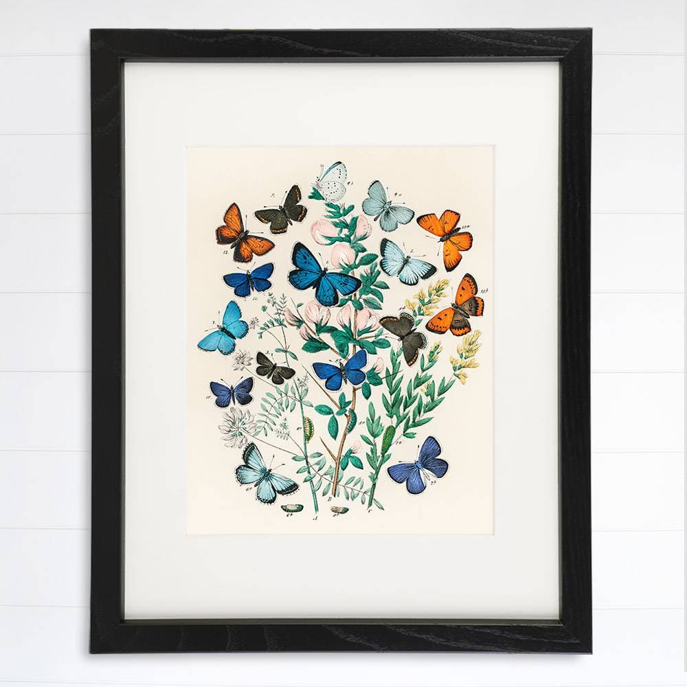 Vintage Butterfly Wall Art Print - 8x10 | Botanical Wall Decor - Dream Big Printables
