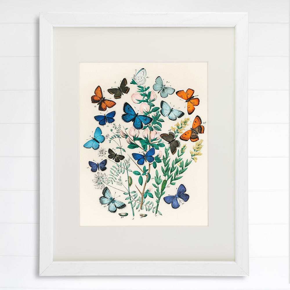 Vintage Butterfly Wall Art Print - 8x10 | Botanical Wall Decor - Dream Big Printables