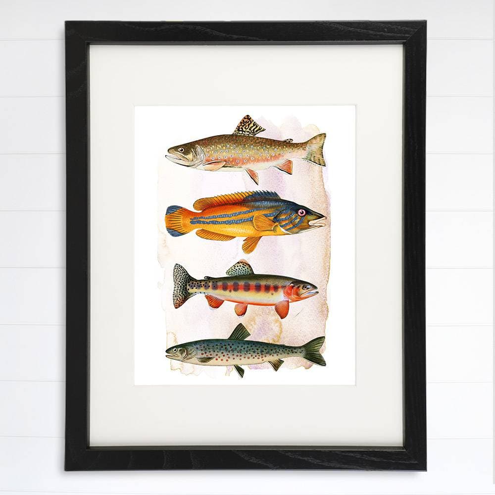 Vintage Fish Art Print - 8x10 - Dream Big Printables