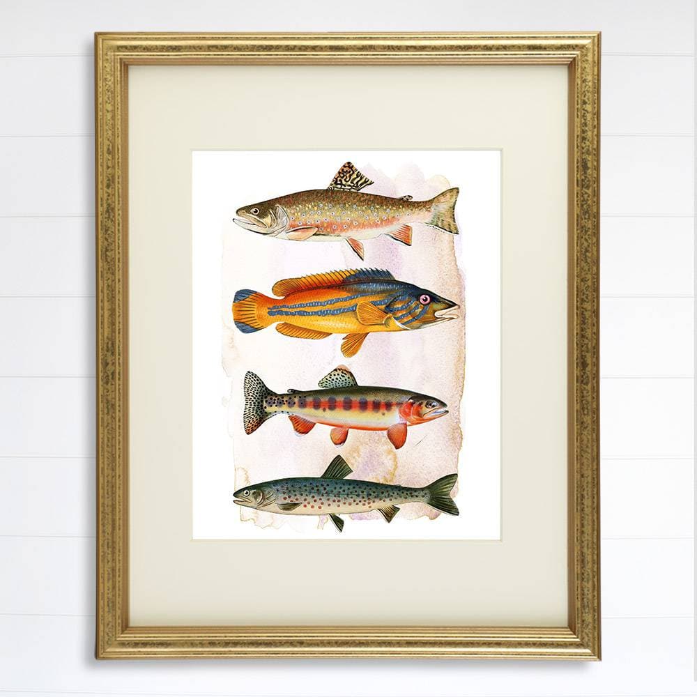 Vintage Fish Art Print - 8x10 - Dream Big Printables