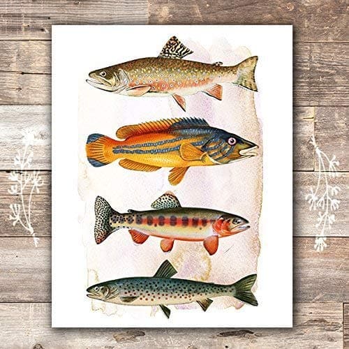 Vintage Fish Art Print - 8x10 - Dream Big Printables