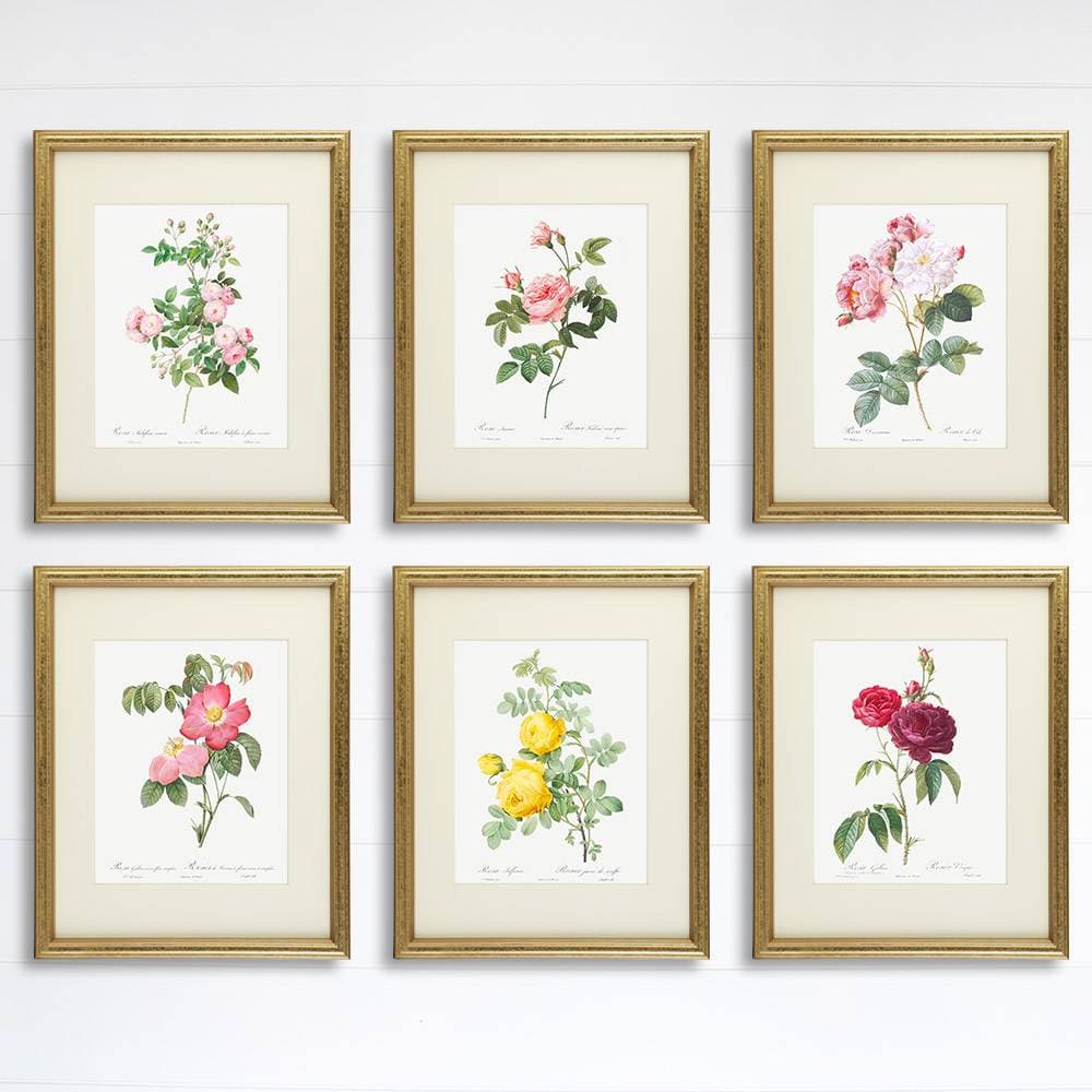 Vintage Flowers Wall Art Prints (Set of 6) - 8x10s | Roses - Dream Big Printables