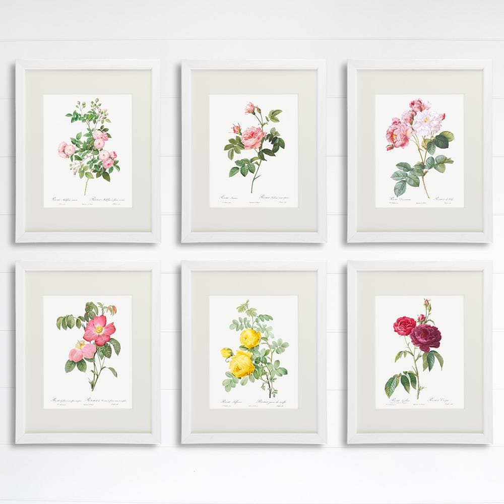 Vintage Flowers Wall Art Prints (Set of 6) - 8x10s | Roses - Dream Big Printables