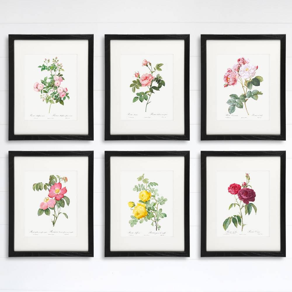 Vintage Flowers Wall Art Prints (Set of 6) - 8x10s | Roses - Dream Big Printables
