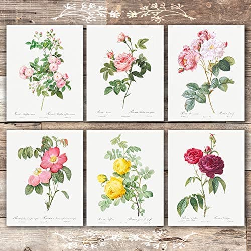 Vintage Flowers Wall Art Prints (Set of 6) - 8x10s | Roses - Dream Big Printables