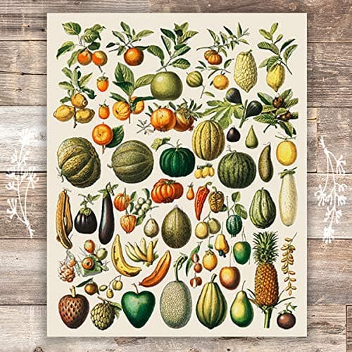 Vintage Fruits and Vegetables - Unframed - 8x10 | Kitchen Wall Art - Dream Big Printables