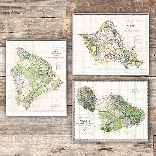 Vintage Hawaii Survey Maps Art Prints (Set of 3) - Unframed - 8x10s - Dream Big Printables
