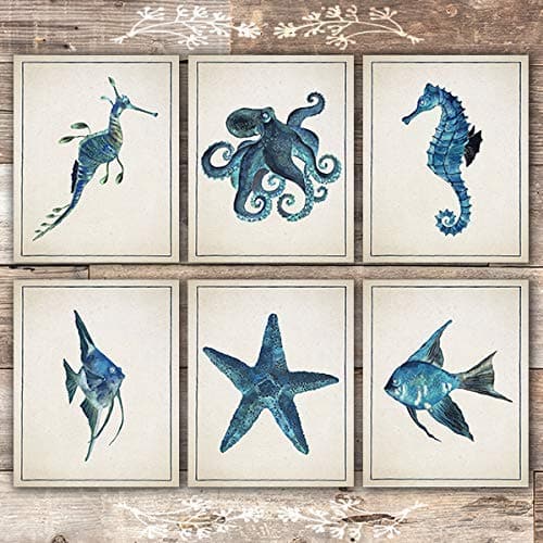 Vintage Ocean Creatures Art Prints (Set of 6) - 8x10s - Dream Big Printables