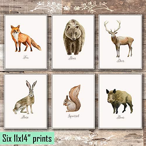 Vintage Woodland Animals Art Prints (Set of 6) - Unframed - 11x14s - Dream Big Printables