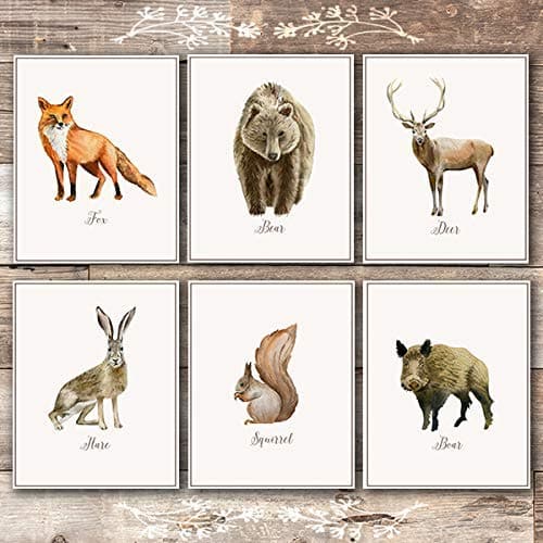 Vintage Woodland Animals Art Prints (Set of 6) - Unframed - 8x10s - Dream Big Printables