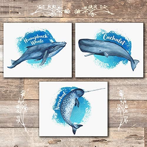 Whales Nautical Wall Decor Art (Set of 3) - Unframed - 8x10 - Dream Big Printables