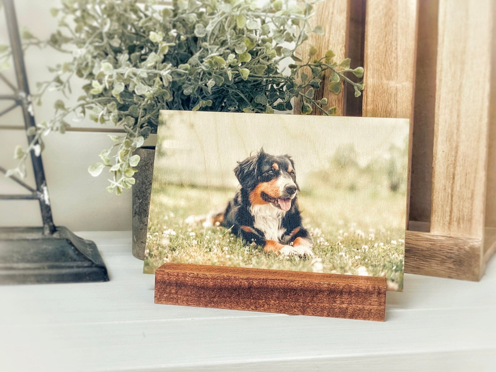 Wood Photo with Stand - Dream Big Printables