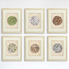 Animal Skins Art Prints (Set of 6) - 8x10s - Dream Big Printables