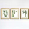 Bamboo Art Prints (Set of 3) - 8x10s - Dream Big Printables
