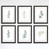Botanical Prints Wall Art - Eucalyptus Leaves - (Set of 6) - 8x10s - Dream Big Printables