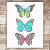 Butterfly Study Art Print - Unframed - 8x10 - Dream Big Printables