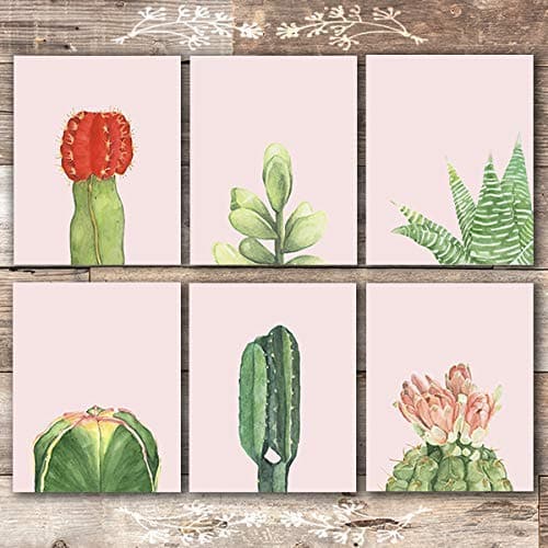 Cactus Wall Art (Set of 6) - 8x10s | Botanical Decor - Dream Big Printables