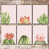 Cactus Wall Art (Set of 6) - 8x10s | Botanical Decor - Dream Big Printables
