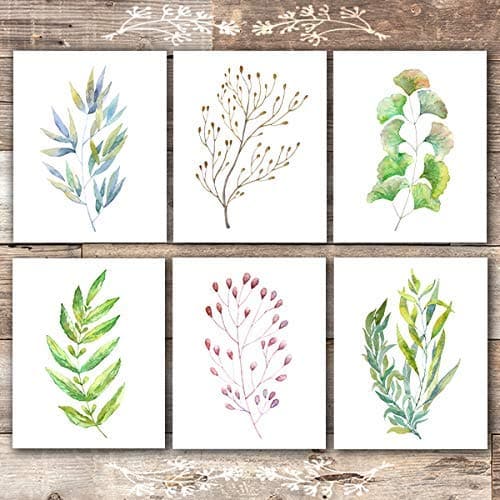 Colorful Botanical Watercolors (Set of 6) - Unframed - 8x10s - Dream Big Printables