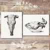 Cow Skulls with Horns Wall Art Prints (Set of 2) - Unframed - 8x10 - Dream Big Printables
