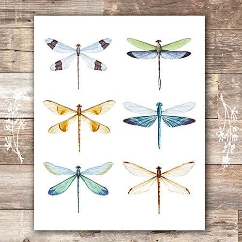 Dragonfly Wall Art Print - Unframed - 8x10 - Dream Big Printables