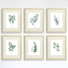 Eucalyptus Leaves | Botanical Prints Wall Art (Set of 6) - 8x10s - Dream Big Printables