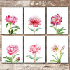 Floral Wall Art Prints (Set of 6) - Unframed - 8x10s | Botanical Decor - Dream Big Printables
