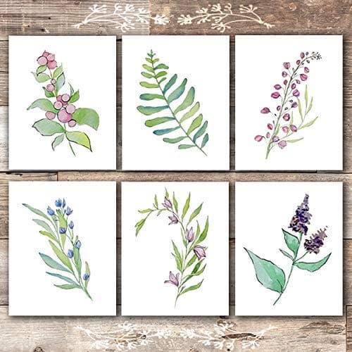 Flower and Leaf Botanical Prints (Set of 6) - 8x10s - Dream Big Printables