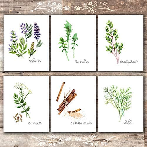 Kitchen Herbs Art Prints - Botanical Prints - (Set of 6) - Unframed - 8x10s - Dream Big Printables