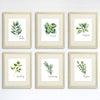 Kitchen Herbs Art Prints (Set of 6) - 8x10 - Dream Big Printables
