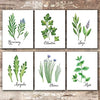 Kitchen Herbs Art Prints (Set of 6) - Unframed - 8x10s | Botanical Prints Wall Art - Dream Big Printables