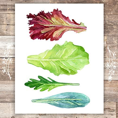 Lettuce Leaf Art Print - Unframed - 8x10 - Dream Big Printables