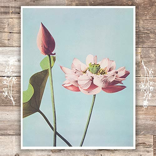 Lotus Flowers Art Print - Unframed - 8x10 - Dream Big Printables