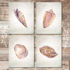 Seashell Decor Art Prints (Set of 4) - Unframed - 8x10s | Beach Wall Decor - Dream Big Printables