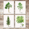 Trees Wall Art Prints (Set of 4) - Unframed - 8x10s | Botanical Prints - Dream Big Printables