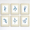 Trendy Eucalyptus Dark Blue Art Prints (Set of 6) - 8x10s - Dream Big Printables