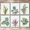 Tropical Leaves Wall Art (Set of 6) - Unframed - 8x10s | Botanical Prints - Dream Big Printables