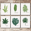 Tropical Leaves Wall Decor Art Prints (Set of 6) - 8x10s | Botanical Prints Wall Art - Dream Big Printables