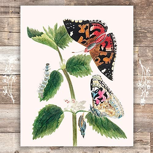 Vintage Butterfly and Caterpillar Wall Art Print - Unframed - 8x10 | Botanical Wall Decor - Dream Big Printables