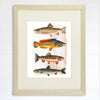 Vintage Fish Art Print - 8x10 - Dream Big Printables