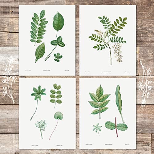 Vintage Green Leaves Wall Art Prints (Set of 4) - 8x10s | Botanical Prints - Dream Big Printables